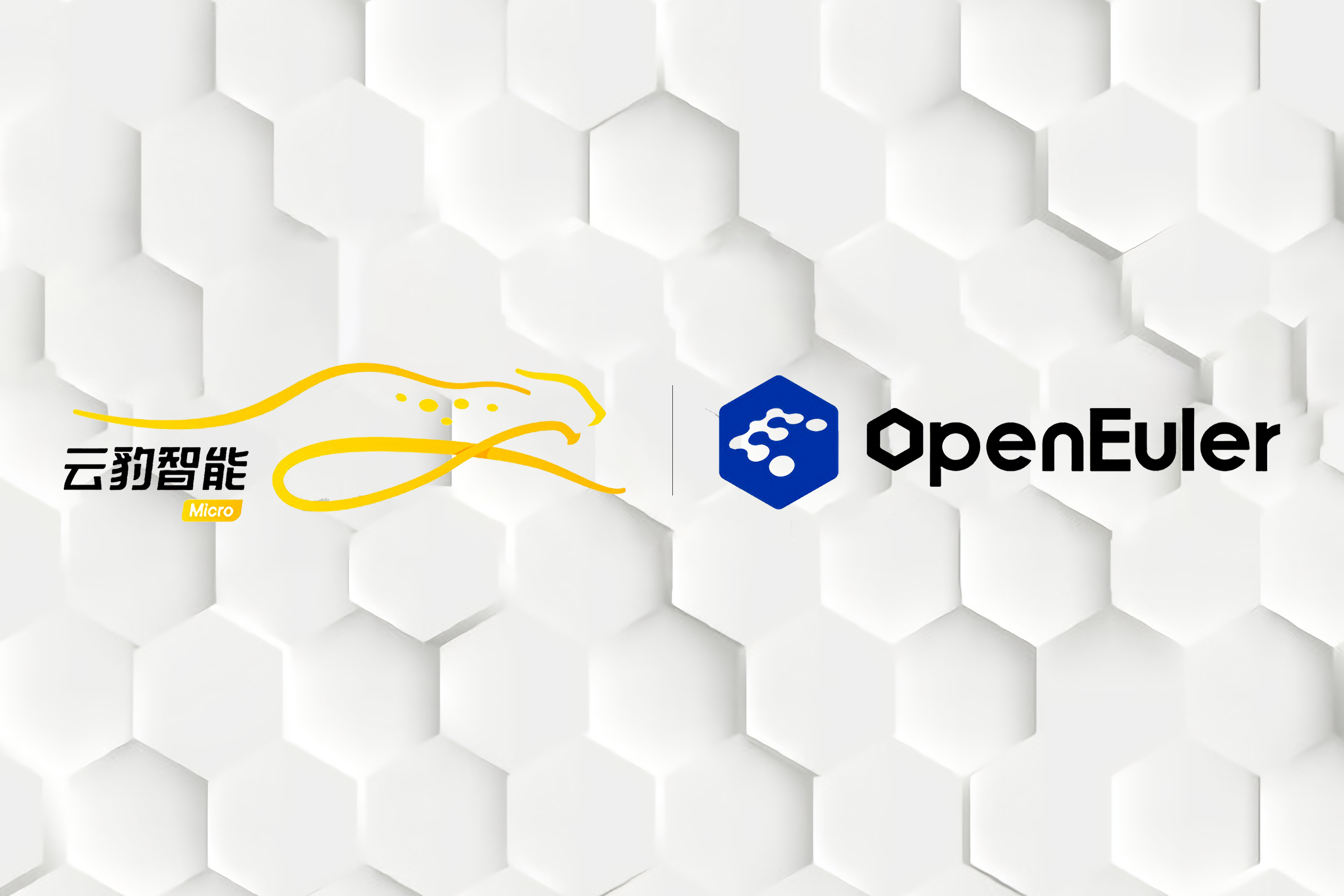 DPU 芯片头部企业云豹智能加入 openEuler社区，为数字中国基础设施助力